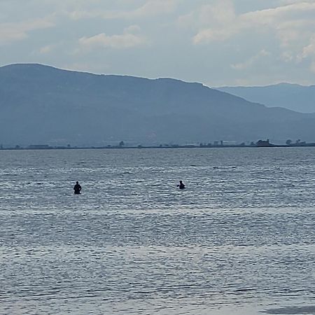厄尔·波普瑙·德尔·戴尔 La Llar De Laura旅馆 外观 照片